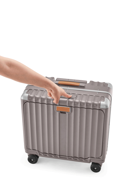 Small Carry On 18"