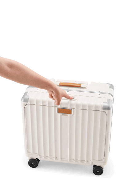 Small Carry On 18"