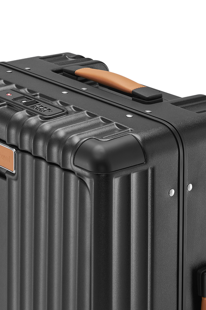 Standard Carry-On 20"