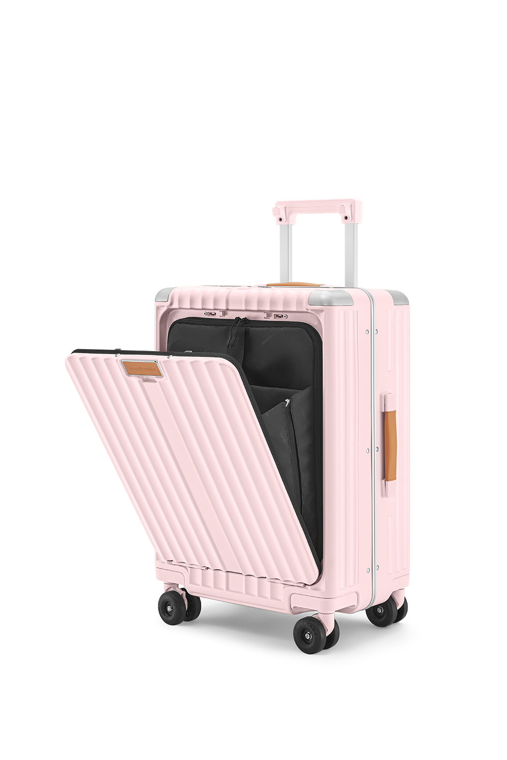 Standard Carry-On 20"