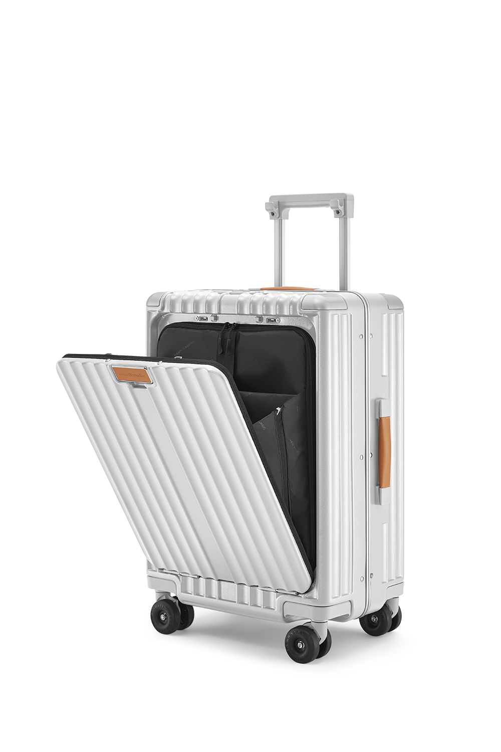 Standard Carry-On 20"