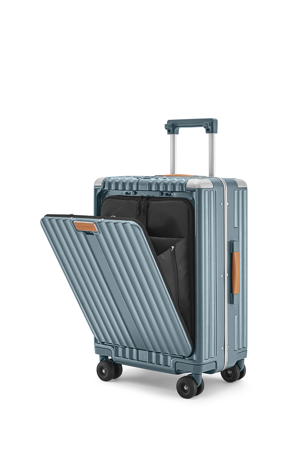 Standard Carry-On 20"