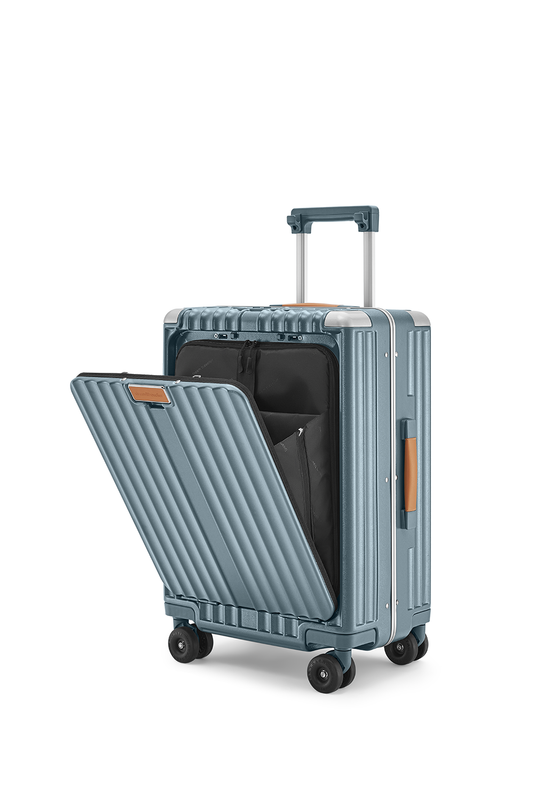 Standard Carry-On 20"