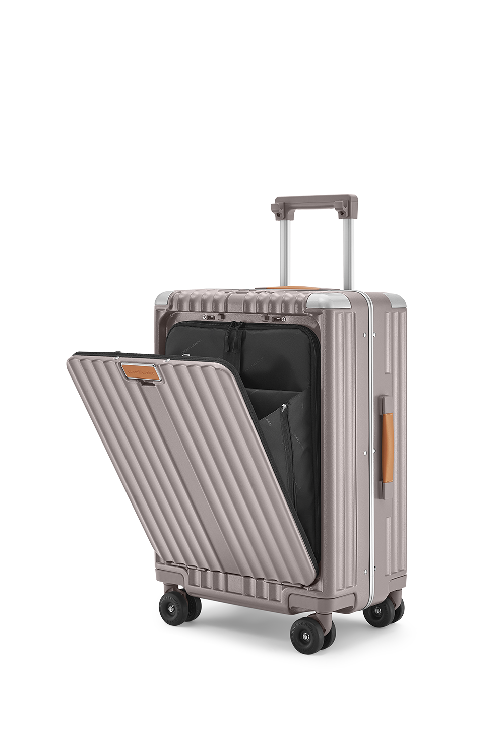 Standard Carry-On 20"