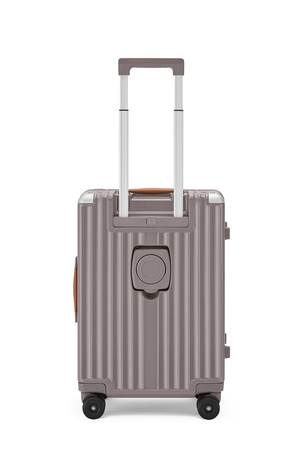 Standard Carry-On 20"