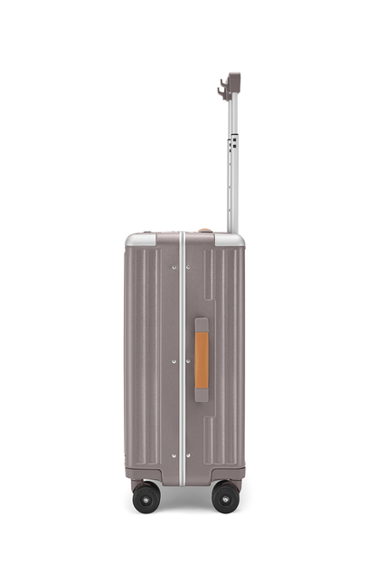 Standard Carry-On 20"