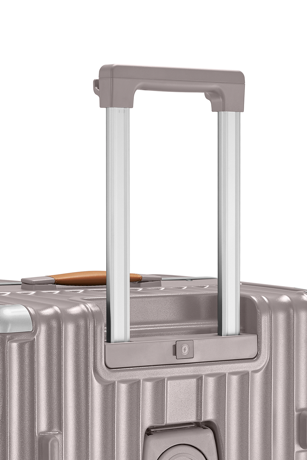 Extra-Large Check-In 30"