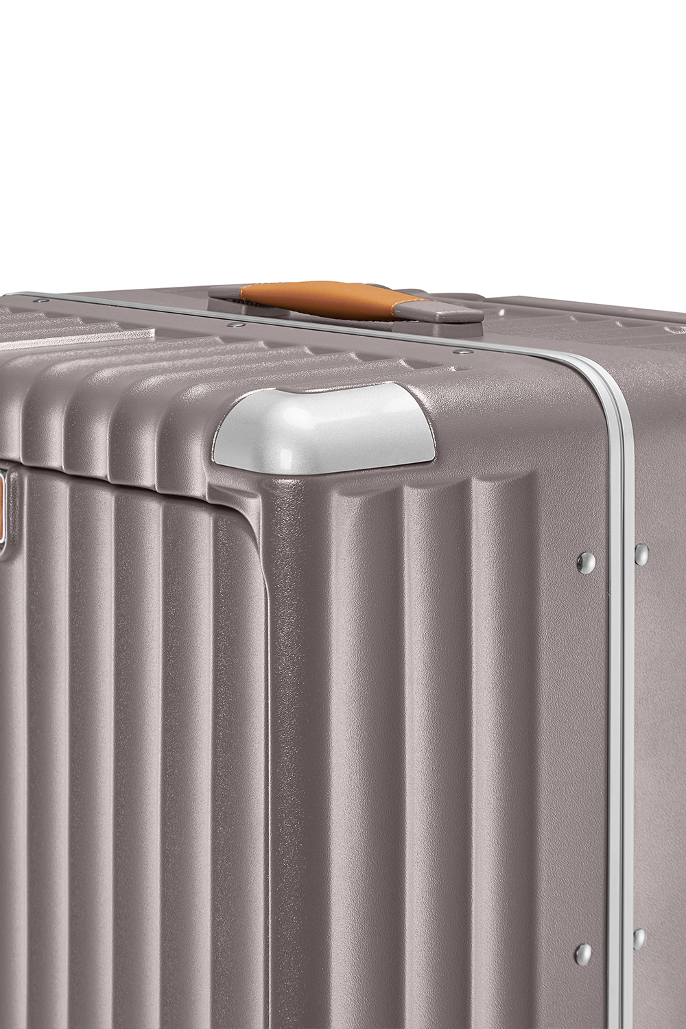 Extra-Large Check-In 30"