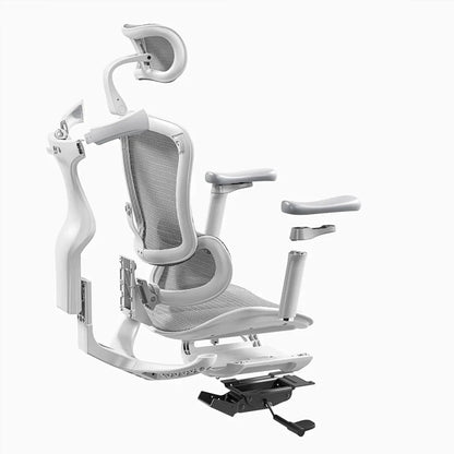 C300 Ergonomic Office Chair