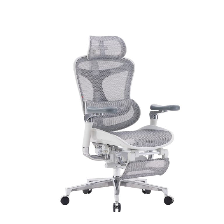 C500 Luxury Executive Mesh Office Chair