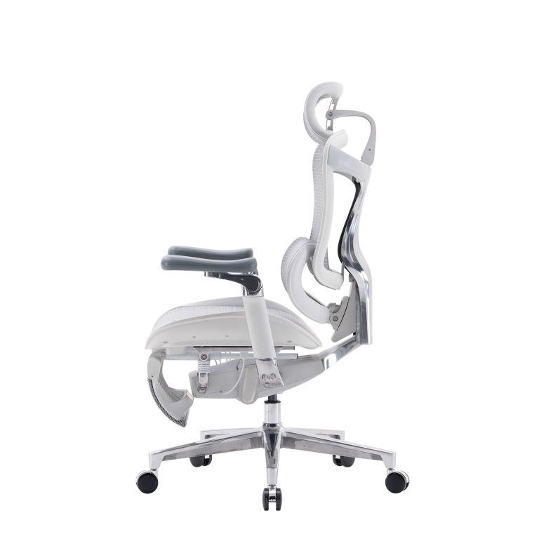 C500 Luxury Executive Mesh Office Chair