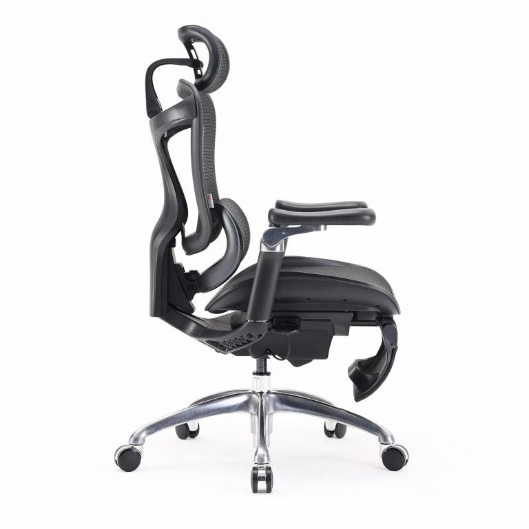 C300 Ergonomic Office Chair