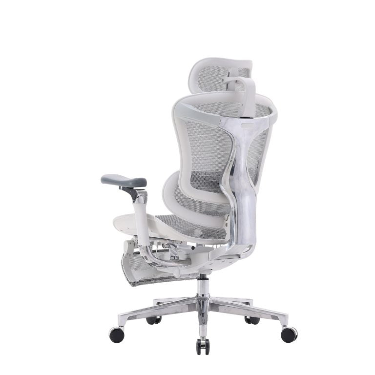 C500 Luxury Executive Mesh Office Chair