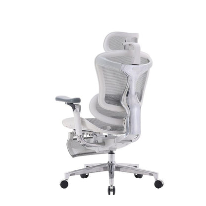 C500 Luxury Executive Mesh Office Chair