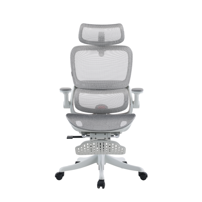 B100 Pro Ergonomic Mesh Office Chair