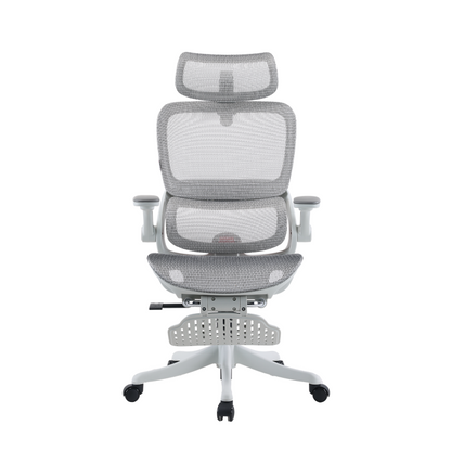B100 Pro Ergonomic Mesh Office Chair