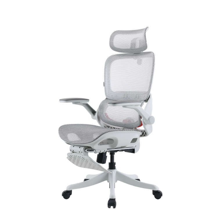 B100 Pro Ergonomic Mesh Office Chair
