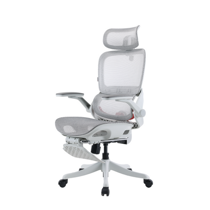 B100 Pro Ergonomic Mesh Office Chair