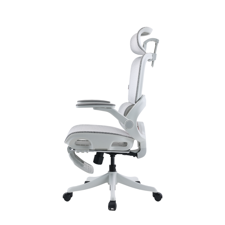 B100 Pro Ergonomic Mesh Office Chair