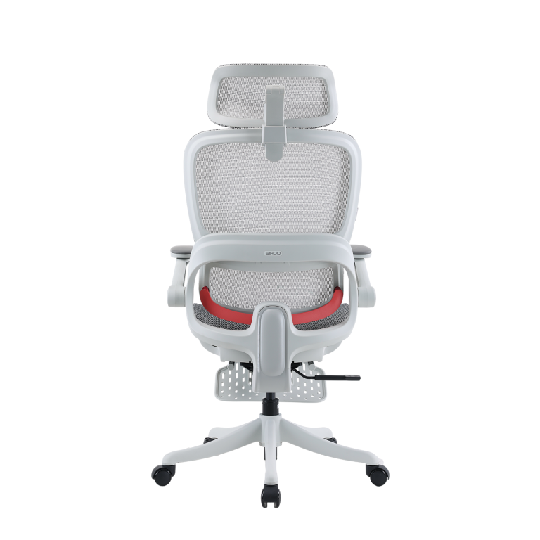 B100 Pro Ergonomic Mesh Office Chair