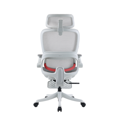 B100 Pro Ergonomic Mesh Office Chair