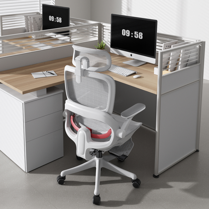 B100 Pro Ergonomic Mesh Office Chair