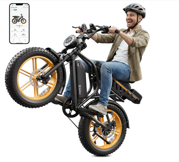 Electric Bike for Adults, Peak 1500W Motor Retro E Bike, Range 65/120Miles, 48V 15Ah Removable Battery, 20"x4" Fat Tires, Full Suspension, APP Control, Off-Road Ebike for City Commuting