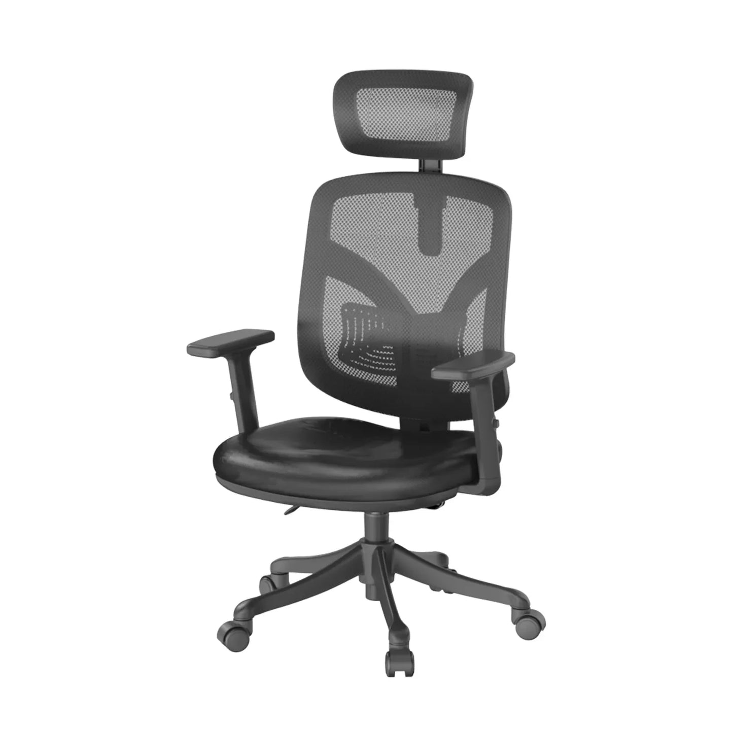 M56 Ergonomic Office Chair