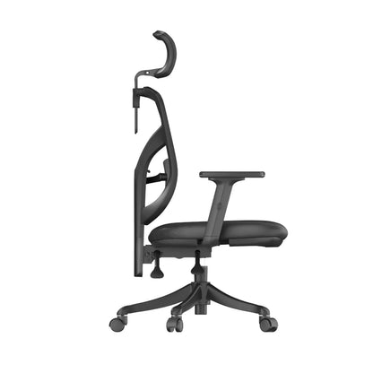 M56 Ergonomic Office Chair