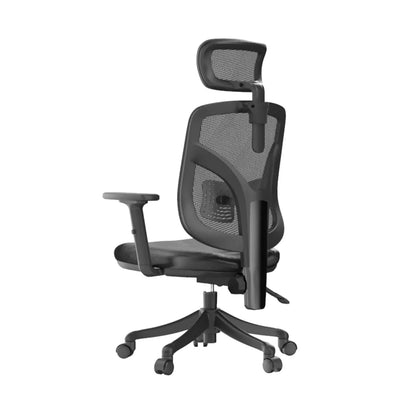 M56 Ergonomic Office Chair