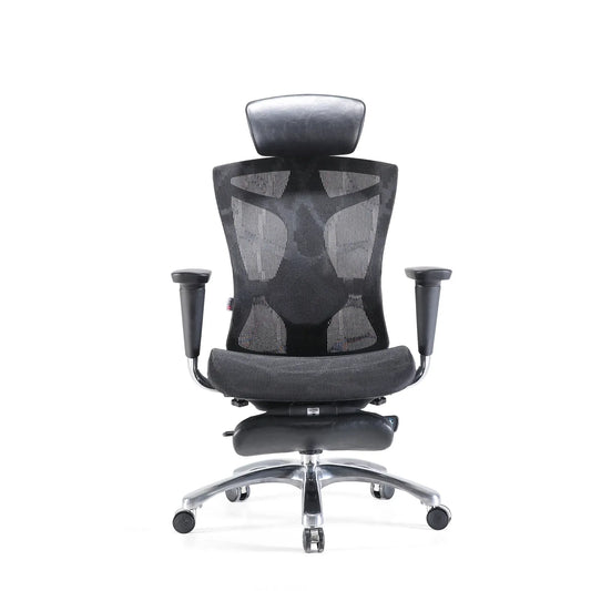V1 Ergonomic Office Chair