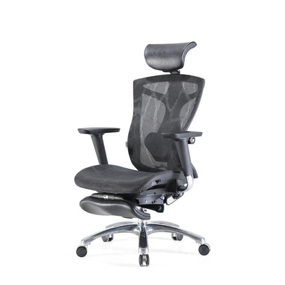 V1 Ergonomic Office Chair