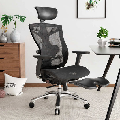 V1 Ergonomic Office Chair